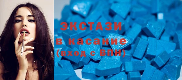 сатива Новодвинск