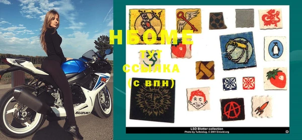 сатива Новодвинск