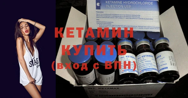 сатива Новодвинск