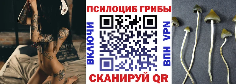 Галлюциногенные грибы Magic Shrooms  продажа наркотиков  Боровск 